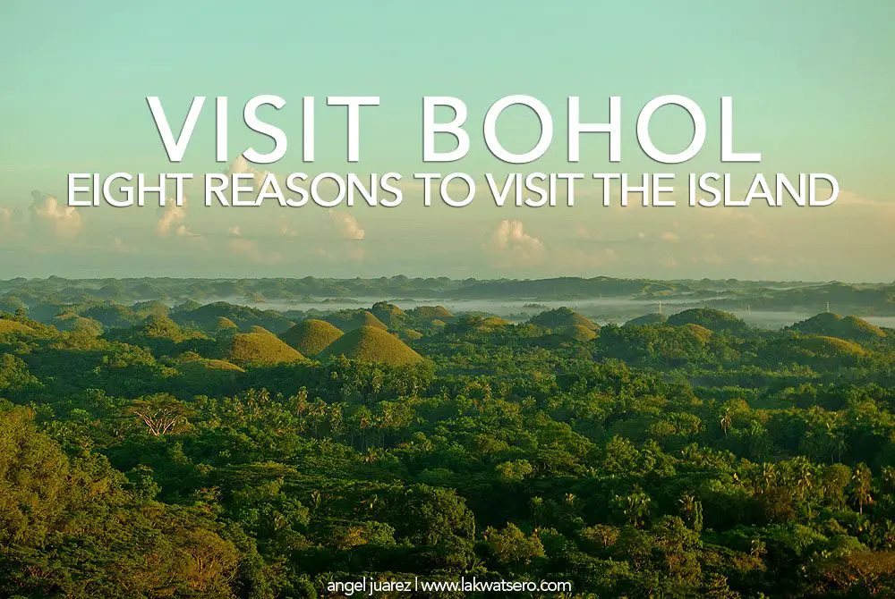 8 Reasons To Visit Bohol Now 