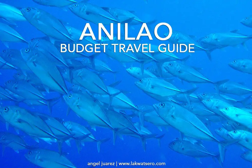 Anilao Travel Guide How To Get There Where To Stay