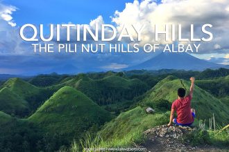 Quitinday Hills: The Pili Nut Hills Of Camalig, Albay 