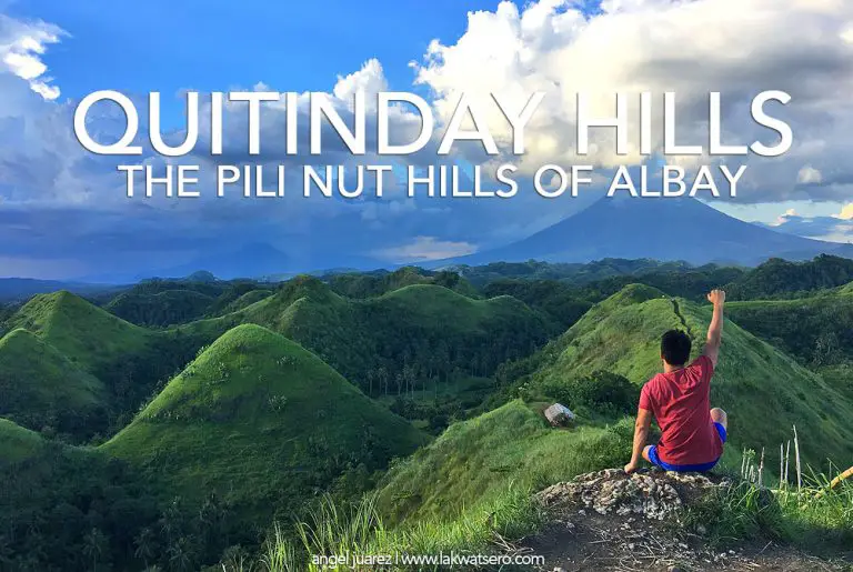 Quitinday Hills: The Pili Nut Hills of Camalig, Albay | Lakwatsero