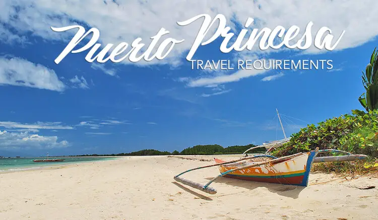 cebu pacific travel requirements puerto princesa